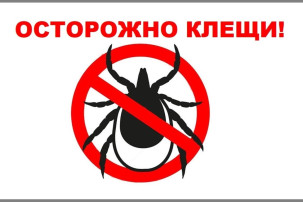 Осторожно – клещи! Памятка для детей и взрослых! Осторожно – клещи! Памятка для детей и взрослых!.